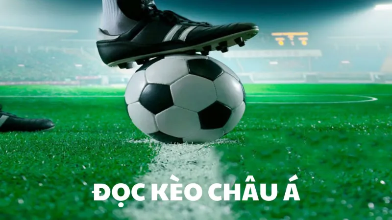 Phân tích dữ liệu để nâng tỷ lệ thắng dài hạn
